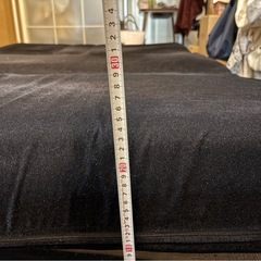 【お渡し先決定】ソファベッドの画像