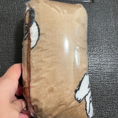 スヌーピーのお弁当箱＆ひざ掛け？の画像