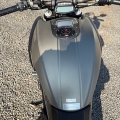 2014年式 DUCATIドゥカティディアベル(チタニウム仕様)の画像