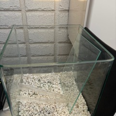 水槽（小）&流木、さんごサンゴの画像