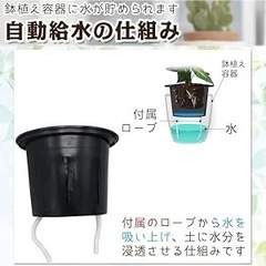 給水プランター 二重鉢の画像