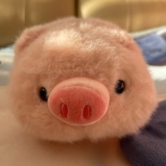 NEW 新品 りんご ぶた ぬいぐるみの画像