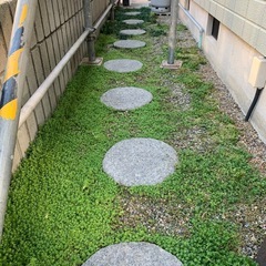 【決まりました】　
飛び石　9個の画像