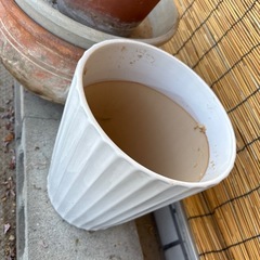 植木鉢その他の画像