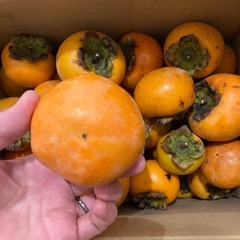 富有柿　不揃い　傷などあり　8キロの画像