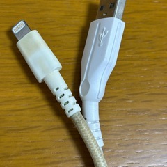 iPhone充電ケーブル ライトニンニグ-タイプAAの画像