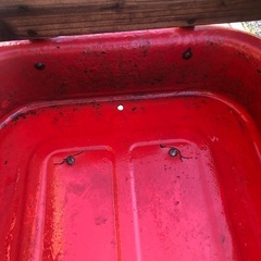 ラジオフライヤーの画像