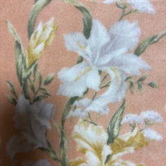 綿毛布140✖️200
の画像