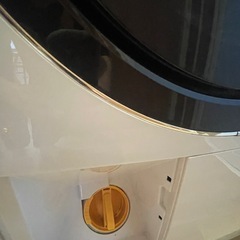 HITACHI 日立ドラム式洗濯機BD-SX110C 11kgの画像