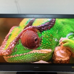 sony テレビの画像