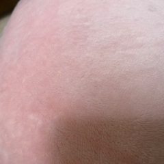 (受け渡し予定者決定！)マイメロ 桃猫コスプレ BIGぬいぐるみの画像