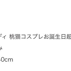 (受け渡し予定者決定！)マイメロ 桃猫コスプレ BIGぬいぐるみの画像