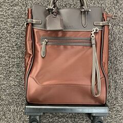 スワニー　ウォーキングキャリーバッグ　フォルティーノ　（XS）の画像