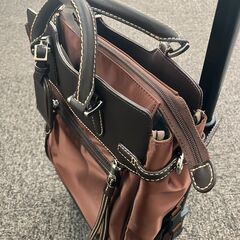 スワニー　ウォーキングキャリーバッグ　フォルティーノ　（XS）の画像