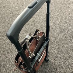 スワニー　ウォーキングキャリーバッグ　フォルティーノ　（XS）の画像