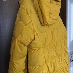 ワークマンフュージョンダウンフーディー
の画像