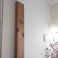 DIYの方！BRIWAXブライワックス　ウォーターベース　（ヒュームドオーク）の画像