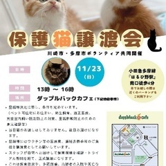 11/23(日)麻生区はるひ野にて保護猫譲渡会開催