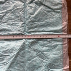 ペット用パットとペット用爪切りの画像