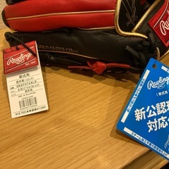 両投げ　グローブ　の画像