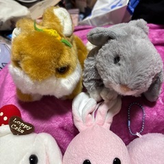うさぎの　ぬいぐるみ　5点セット　バラ売り可能の画像
