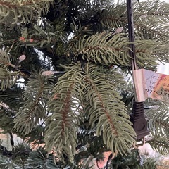 クリスマスツリー(120cm)の画像