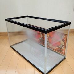 水槽 W60cm×D30cm×H36cm アクリル製？の画像