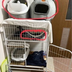 ケージ猫用、犬用の画像