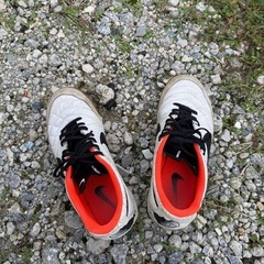 ナイキ フットサルシューズの画像