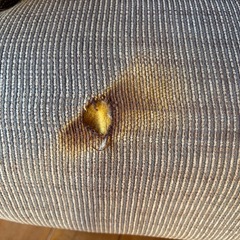 無料 ニトリ3人がけソファの画像