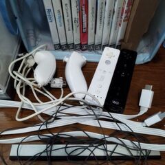 wii 本体動作確認済み　ソフト10本の画像