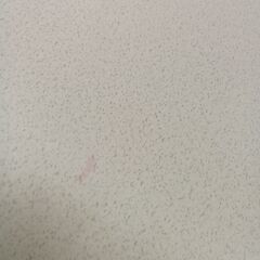 リユースのサカイ栃木店★ジモティ割あり★  こたつ ホワイト W75×D75×H39 クリーニング済み TC11610の画像