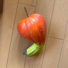 秋 リースの画像