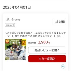 大判レジャーシート200×150
 の画像