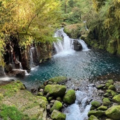 菊池　コメダ一緒にいきませんか？