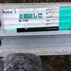 2連ハシゴの画像