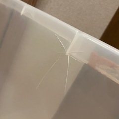 衣装ケース(45×73×24)2つの画像