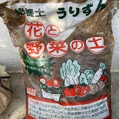 花や野菜、観葉植物の土の画像