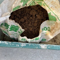 花や野菜、観葉植物の土の画像