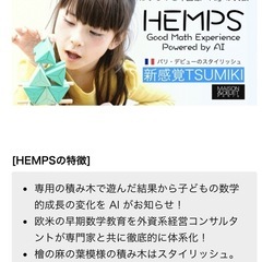 HEMPS(ヘンプス) 知育玩具の画像