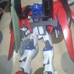 1/100デスティニーガンダムとhgガンダムセット　組み立て済み完成品の画像