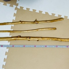 流木　加工済み　3本セット　広島県　宮島　の画像