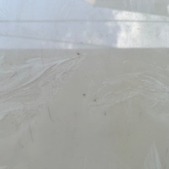 コメント必須 中古 バー スナック 喫茶店の画像