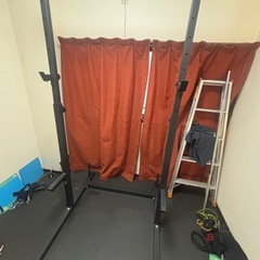 WASAI懸垂マシン(BS312)ブランド名不明のプリーオプション
の画像