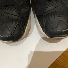 24㎝リーボックヒューリーポンプの画像