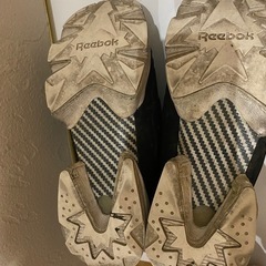 24㎝リーボックヒューリーポンプの画像