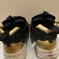 24㎝リーボックヒューリーポンプの画像