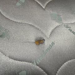 シングルマットレスの画像