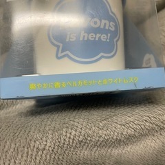 【新品、未開封品】ラボン　デ　ブーンの画像