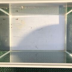 【GEX（ジェックス）】水槽（ホワイト）＆の画像